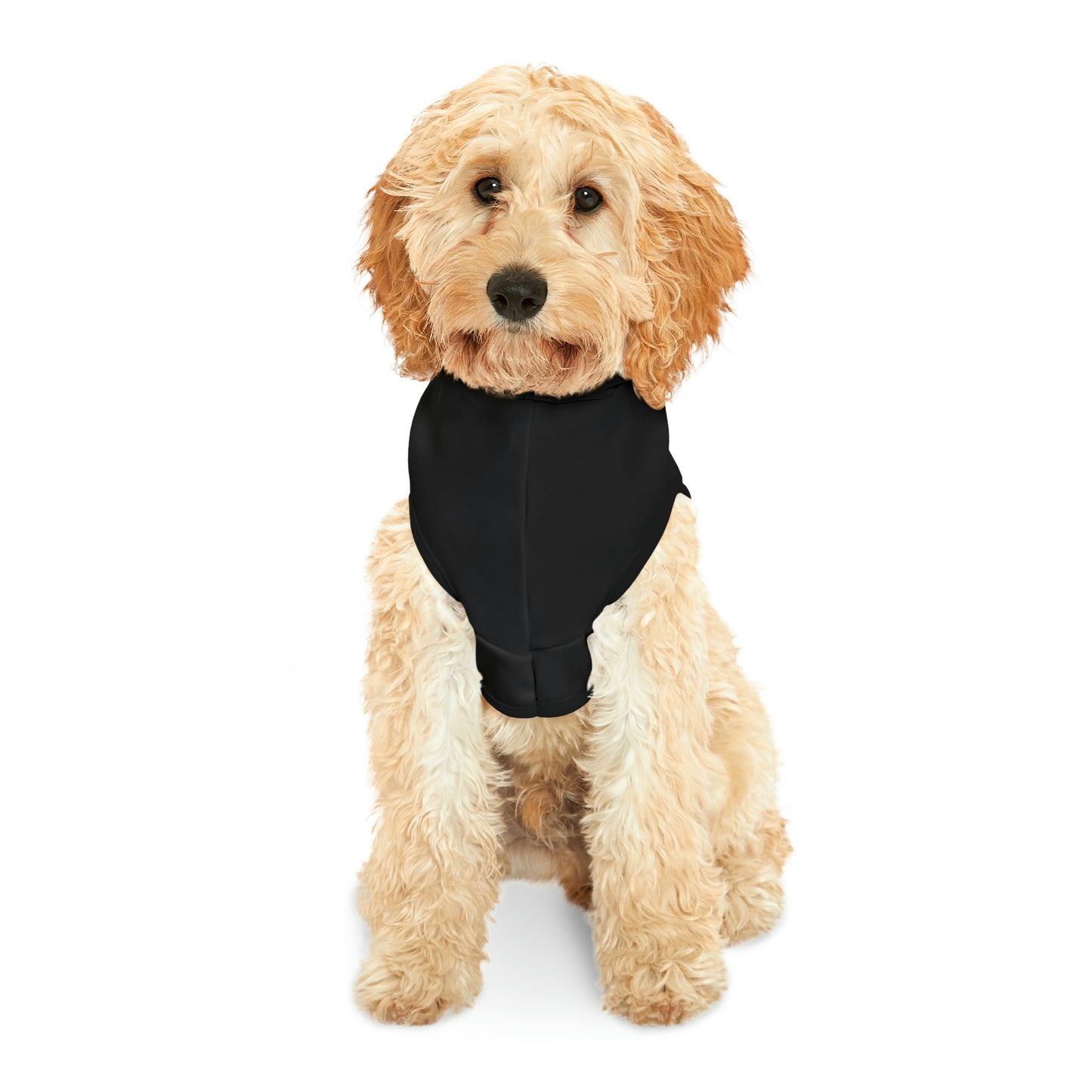 Pet Hoodie Dog Winter Sweater Dog Paw Print Sweatshirt Gift for Dog