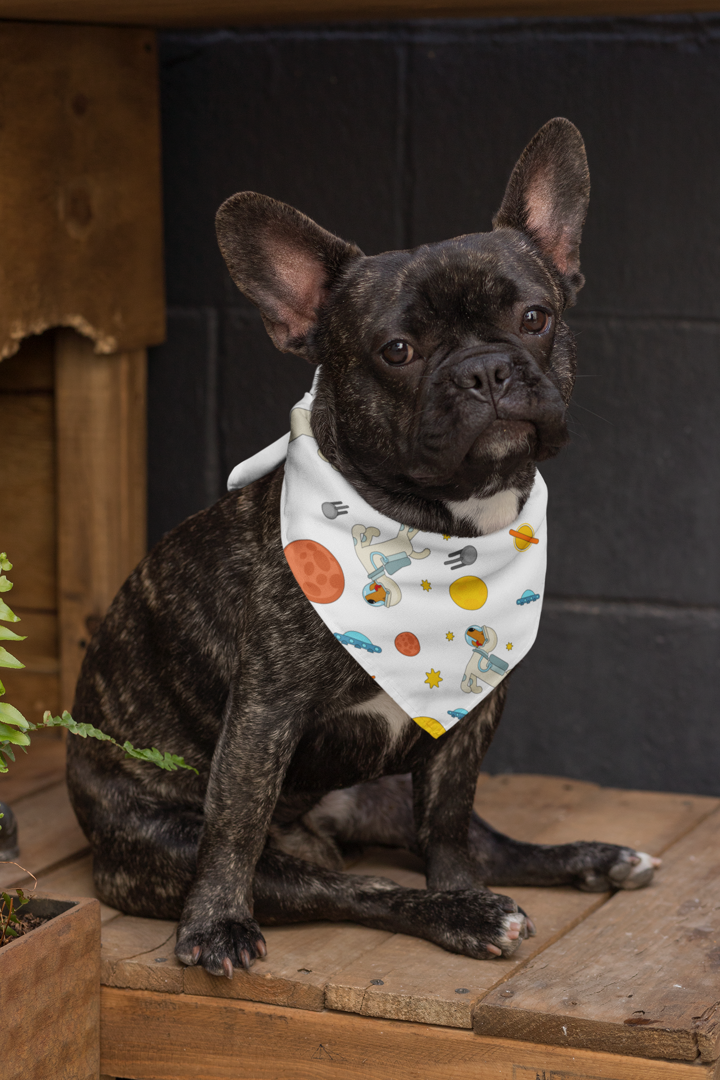 Pet Bandana