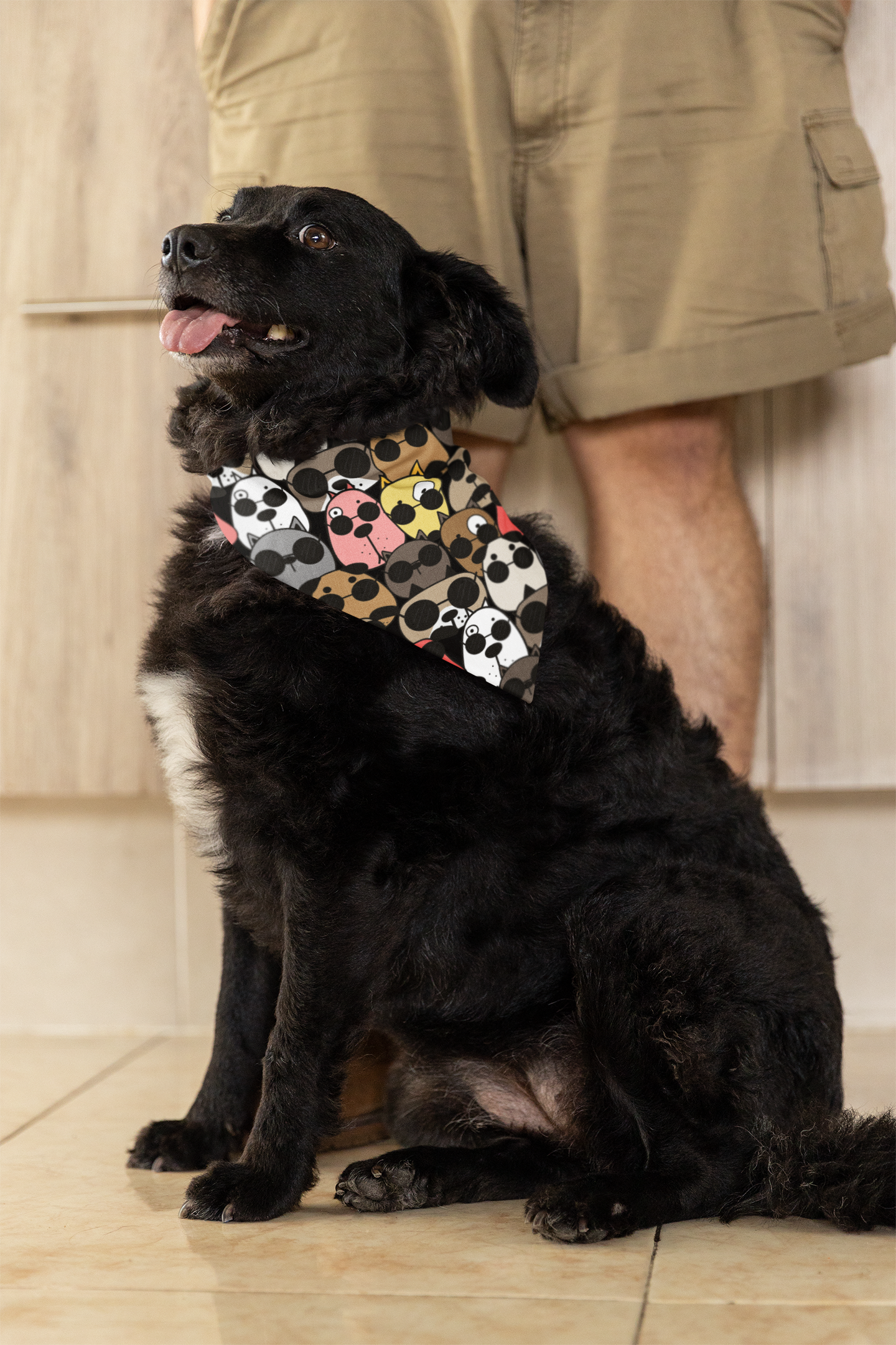 Doggie Chic Pet Bandana Vibrant Pet Scarf Canine Gift Idea Dog Collar