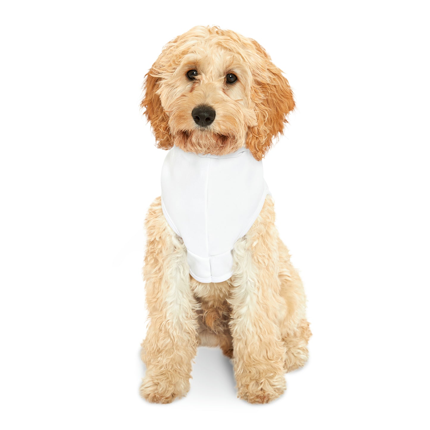 Pet Hoodie Blue Plaid Paw Print Sweatshirt Dog Sweater Pet Clothing